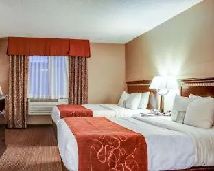 Hotel Spark By Hilton Tucson Airport Chambre photo